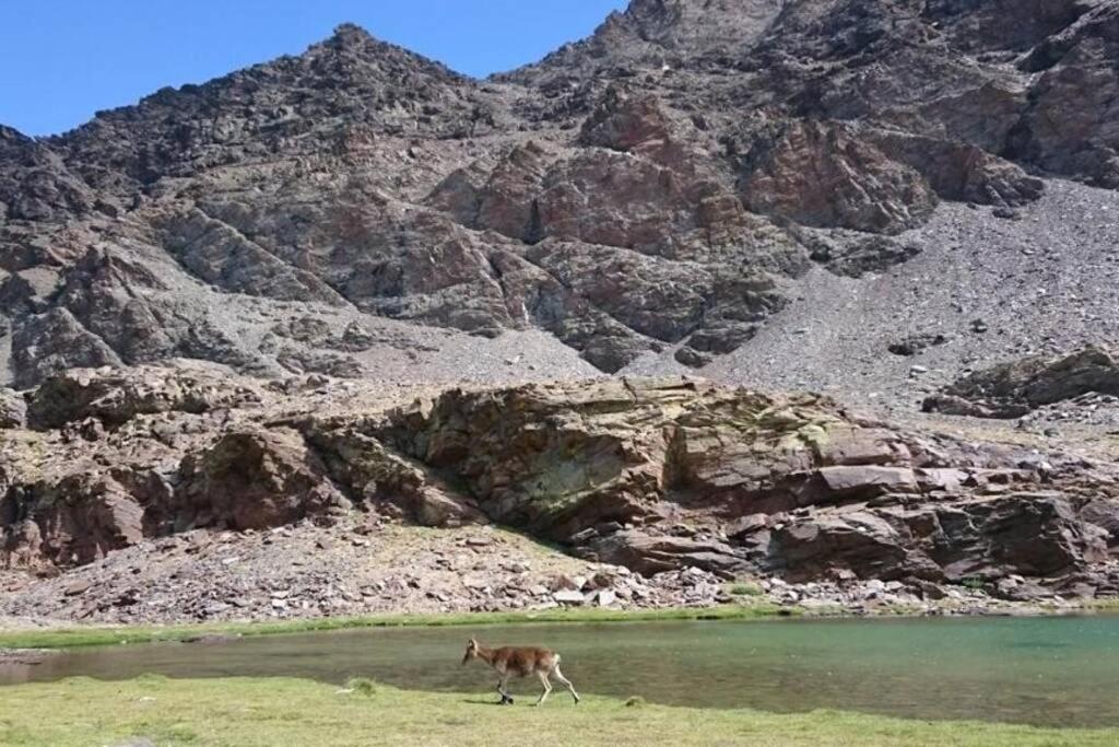 Casa La Solea. Vistas Al Pueblo Y La Sierra Βίλα Bubión Εξωτερικό φωτογραφία